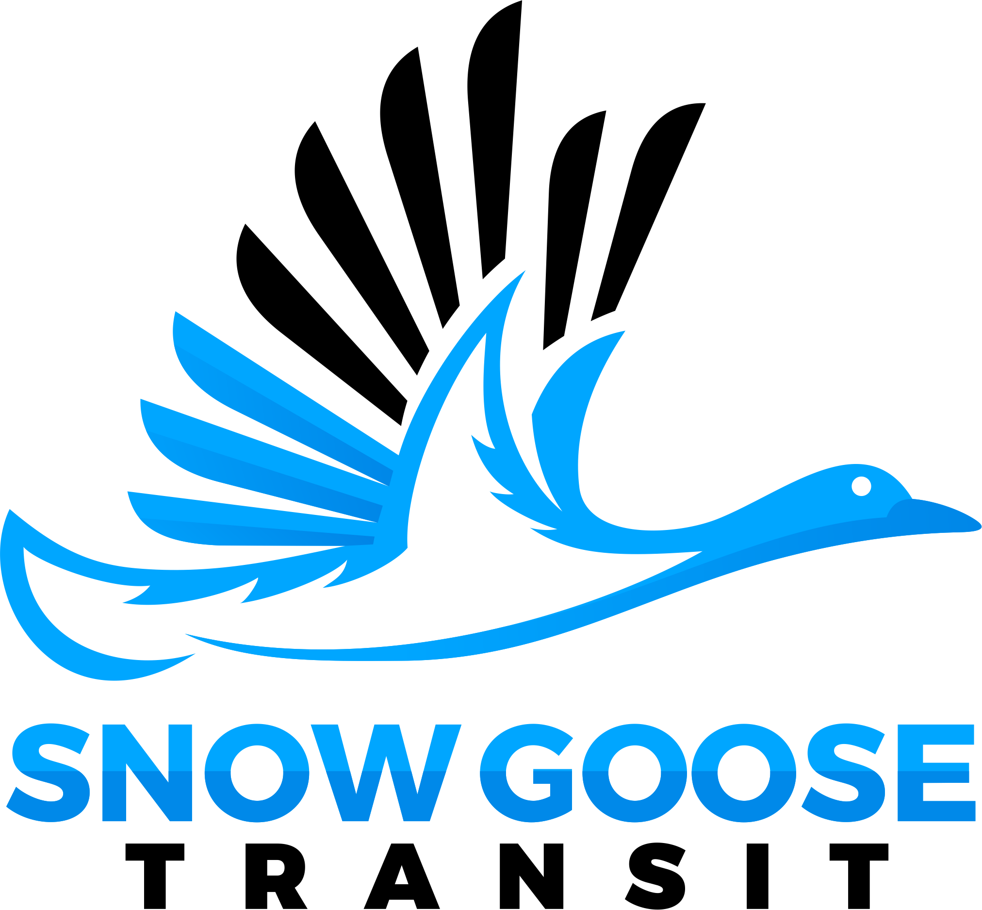 Snow Goose Transit SC GIVE